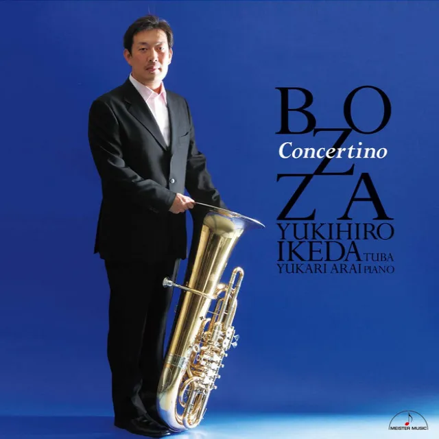 Concertino Ⅱ. Andante ma non troppo