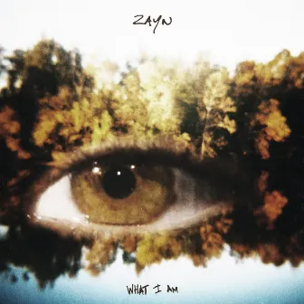 What I Am by ZAYN