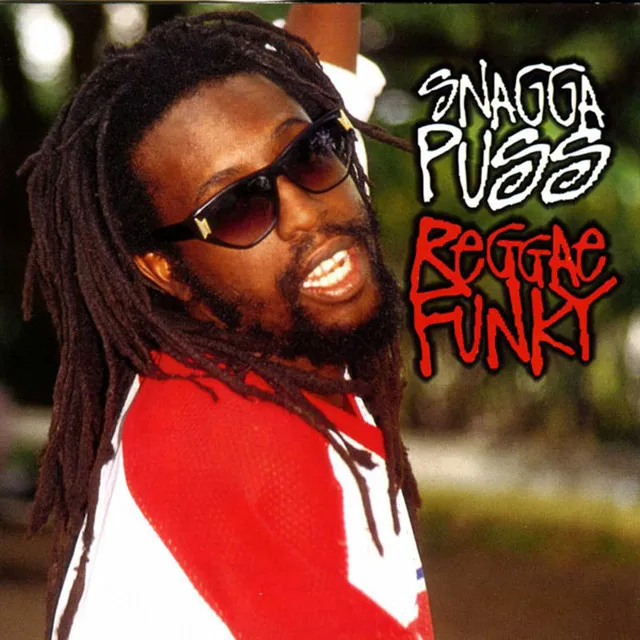 Reggae Funky (Remix)