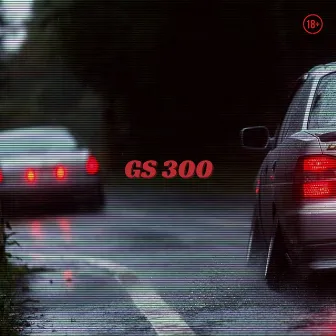 GS 300 by Chico McGee