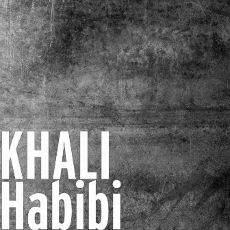 Habibi by Khali