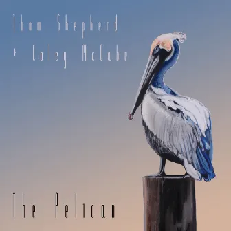 The Pelican by Coley McCabe