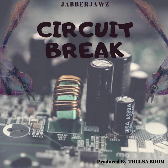 CIRCUIT BREAK