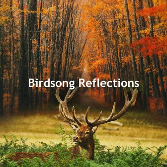 Birdsong Reflections by Bird Recordings