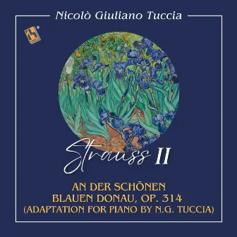 An der schönen blauen Donau, Op. 314 (Adaptation for Piano by N.G. Tuccia) by Nicolò Giuliano Tuccia