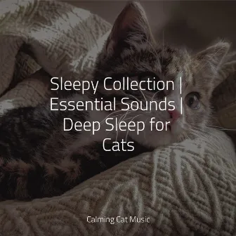 Sleepy Collection | Essential Sounds | Deep Sleep for Cats by Relaxmycat