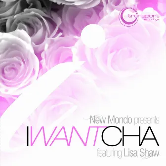 I Want Cha (feat. Lisa Shaw) by New Mondo