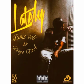 Lately by Bms Veli