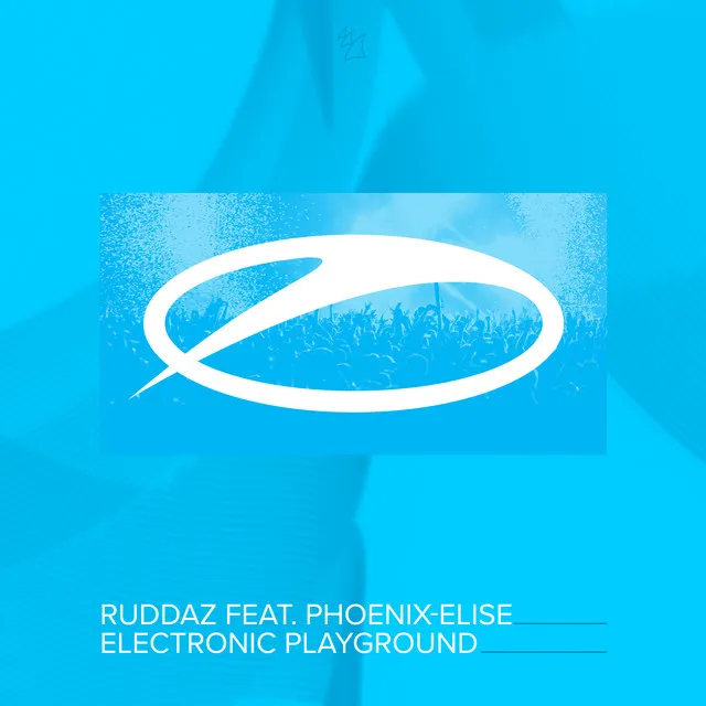 Electronic Playground