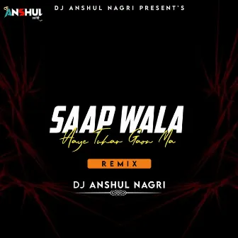 Saap Wala by DJ ANSHUL NAGRI