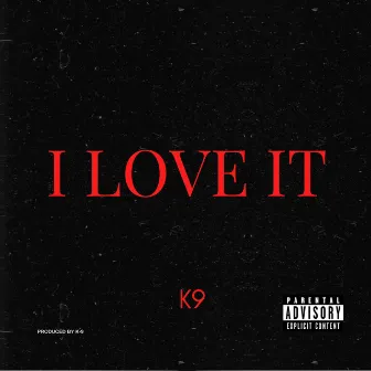 I Love It by K-9