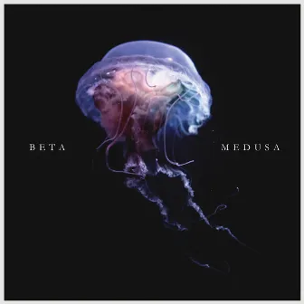 Medusa by BETA