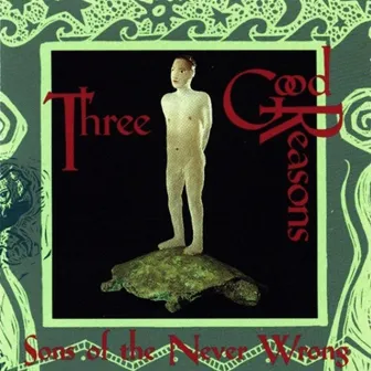 Three Good Reasons by Sons Of The Never Wrong