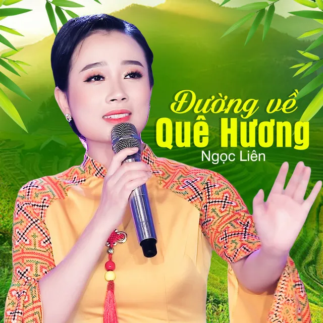 Gặp Nhau Giữa Rừng Mơ