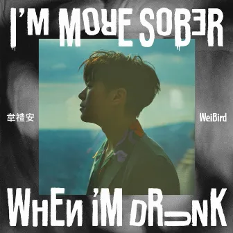 I'M MORE SOBER WHEN I'M DRUNK by WeiBird