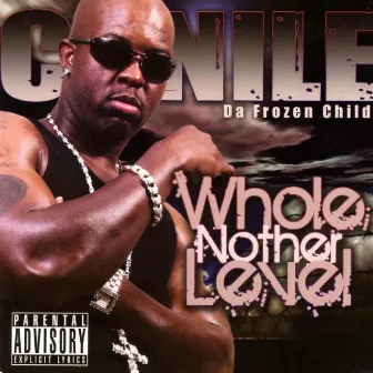 Whole Nother Level by C-Nile