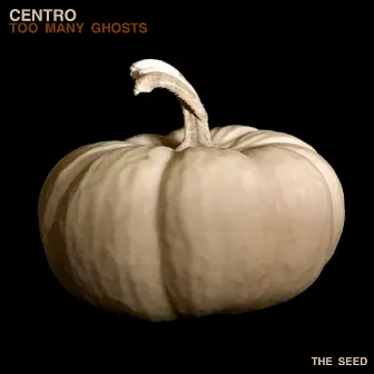 Too Many Ghosts by Centro