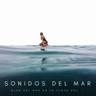 Sonidos Del Mar: Olas Del Mar En La Playa Vol. 1 by Meditación Con Ruido Rosado