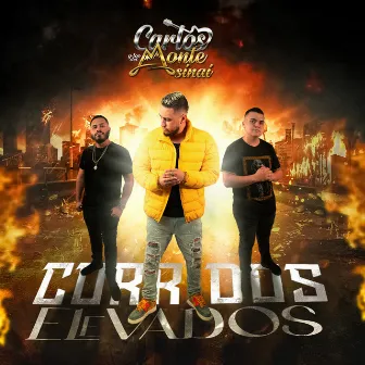 Corridos Elevados by Carlos Y Los Del Monte Sinai