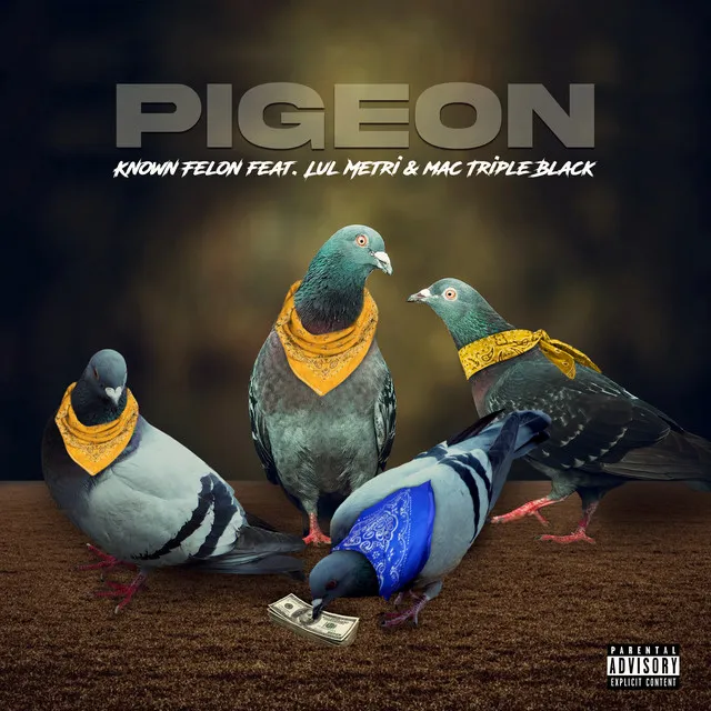 PIGEON