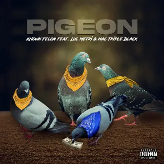 PIGEON by Known Felon