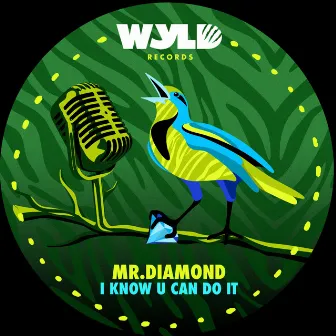 I Know U Can Do It by Mr.Diamond