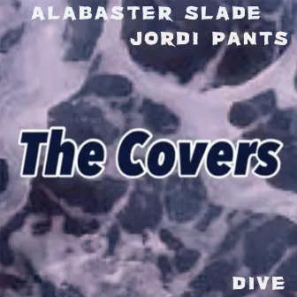 VCR (THE COVERS) by Alabaster Slade