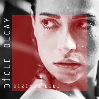 Dizinin Dibi by Dicle Olcay