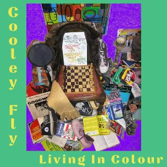 Living In Colour by Cooley Fly