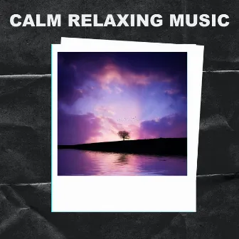 Calm Relaxation Music by Calm Relaxation Music