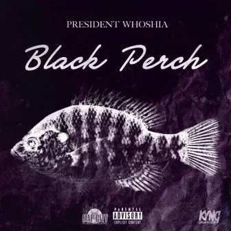 Black Perch (Disc 2) by President Whoshia