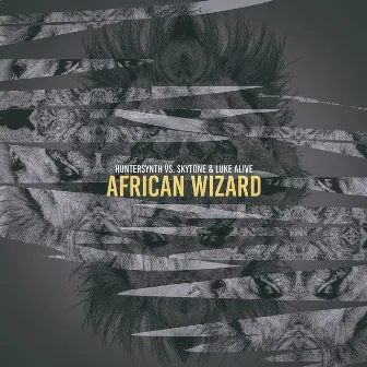 African Wizard (Radio Edit) by Skytone