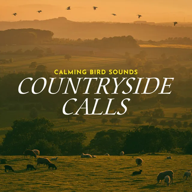 Countryside Calls