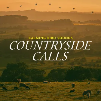 Countryside Calls by Calming Bird Sounds