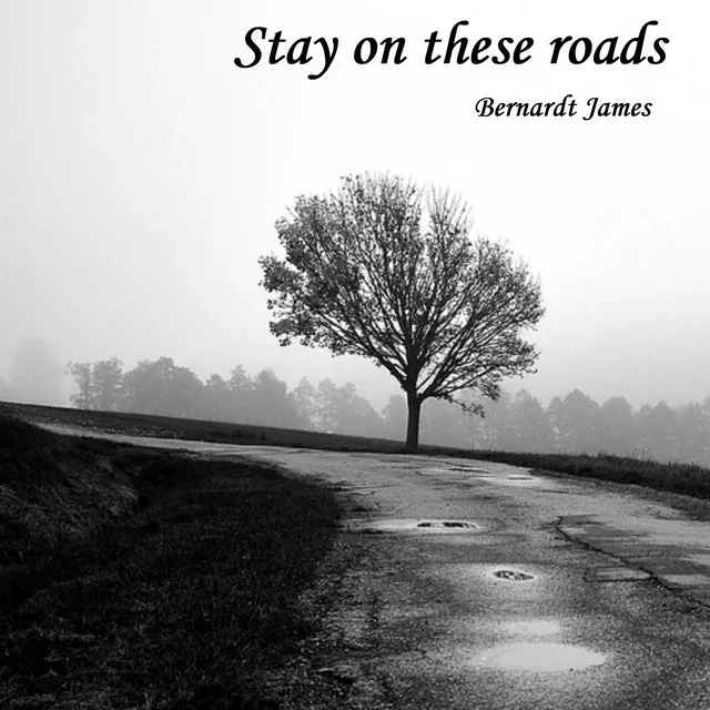 Stay On These Roads - Piano Solo Version