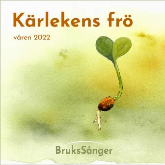 Kärlekens frö by Brukssånger