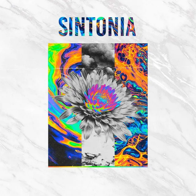 Sintonia