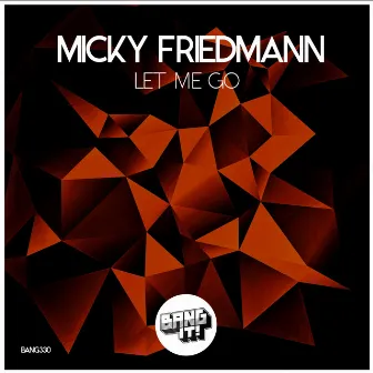 Let Me Go by Micky Friedmann