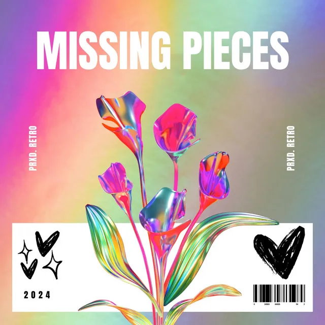 MISSING PIECES