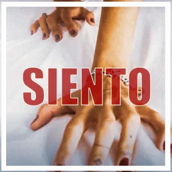 Siento by Veinte23