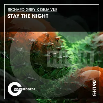 Stay the Night by Deja Vue