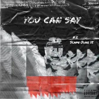 You Can Say by BG Scott