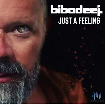 Just a Feeling by BIBA DEE J