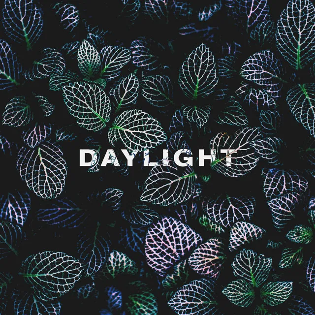 Daylight