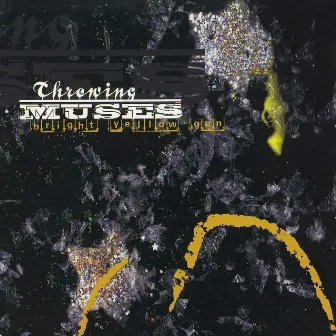 Bright Yellow Gun by Throwing Muses