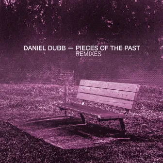 Pieces Of The Past Remixes by Daniel Dubb