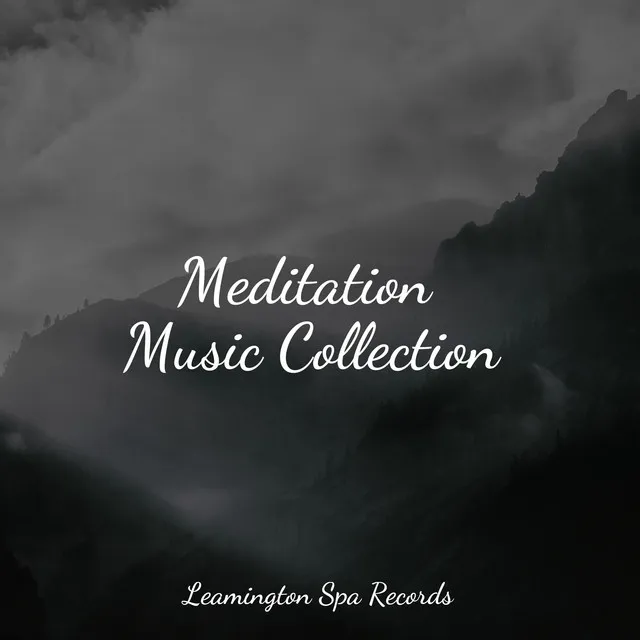 Meditation Music Collection