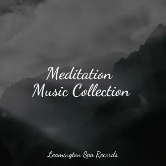 Meditation Music Collection by Relaxation Music Guru