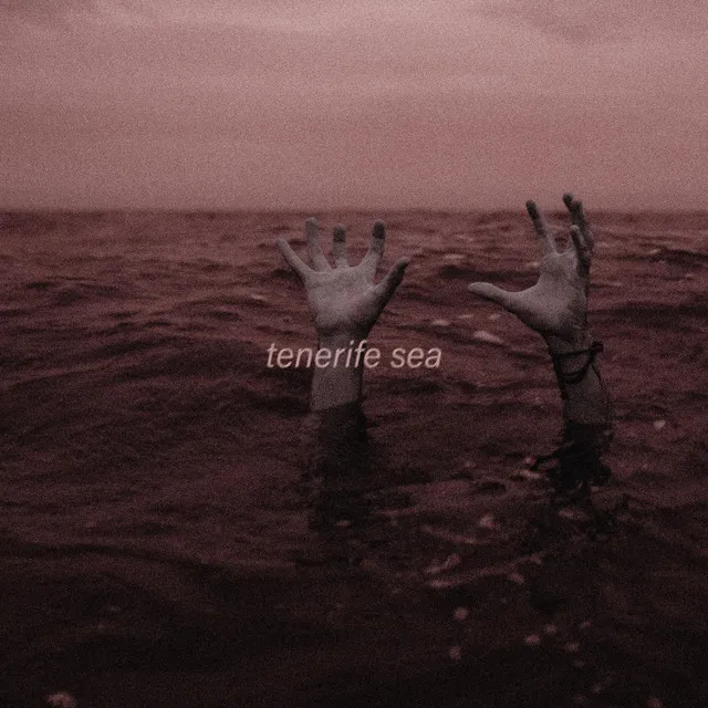 tenerife sea