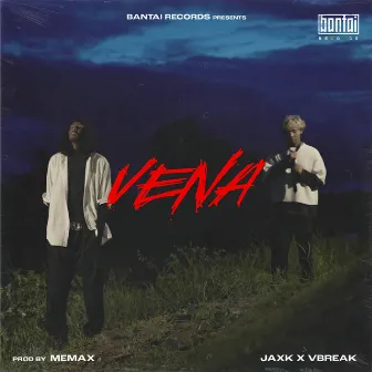 Vena by Vbreak